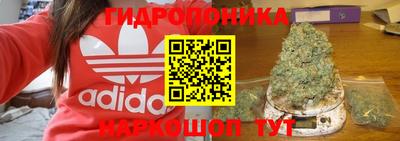 скорость Жуковский