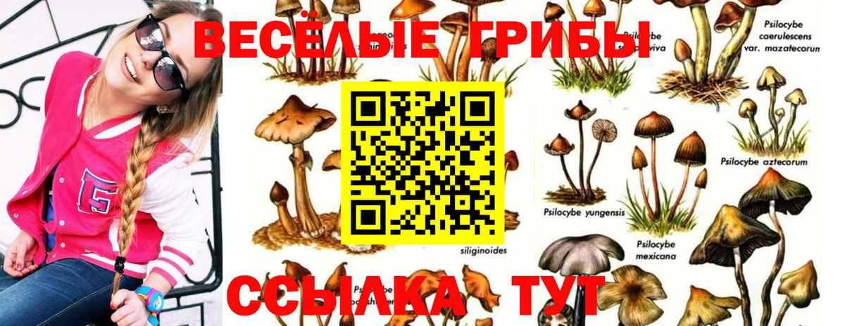 Псилоцибиновые грибы Magic Shrooms Лениногорск