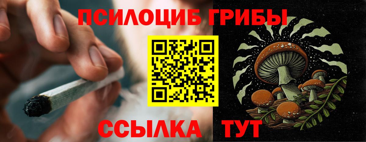 Лениногорск  Псилоцибиновые грибы мицелий  Вход с VPN 